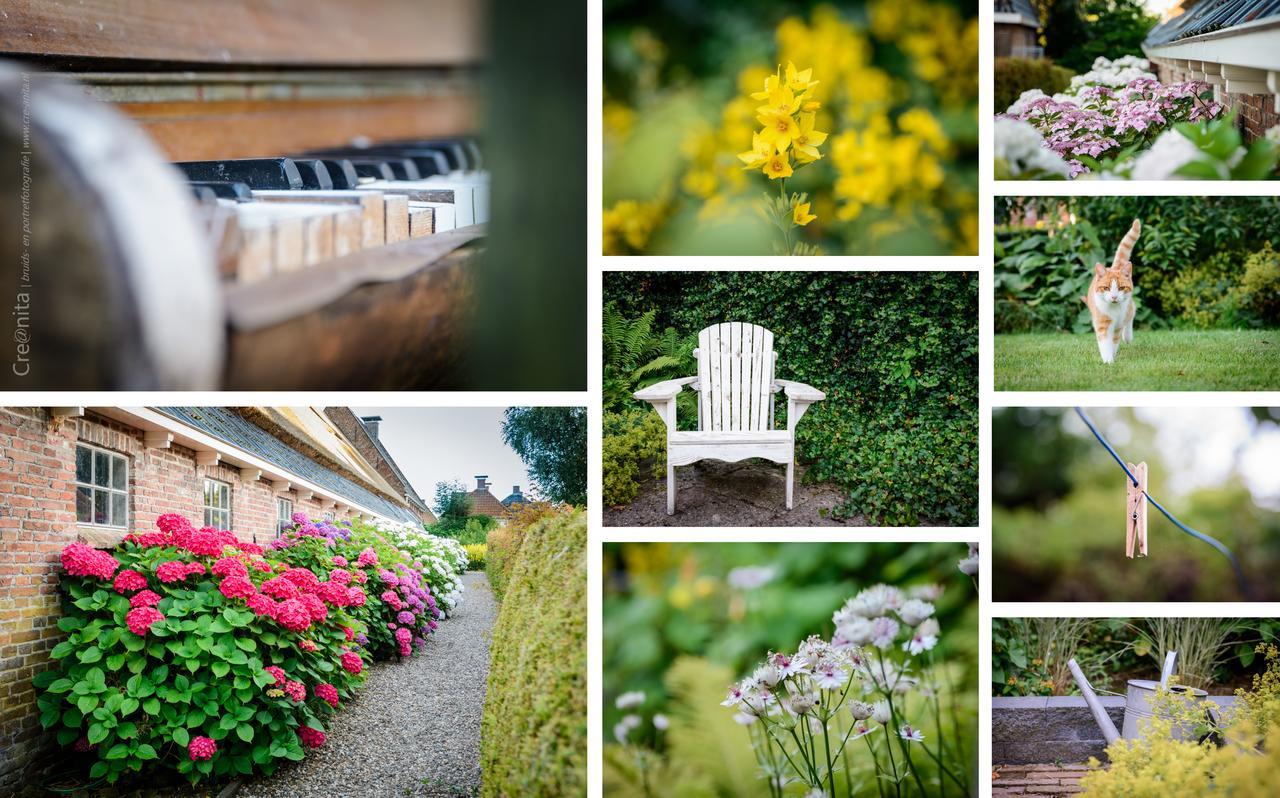 Ee Unia Zathe Bed & Breakfast エクステリア 写真
